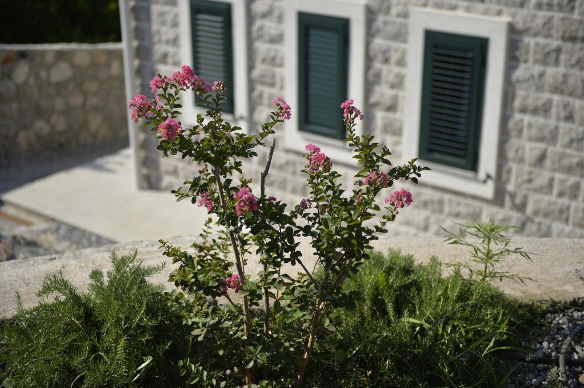 Villa Vista Azzurra Τίβατ Εξωτερικό φωτογραφία